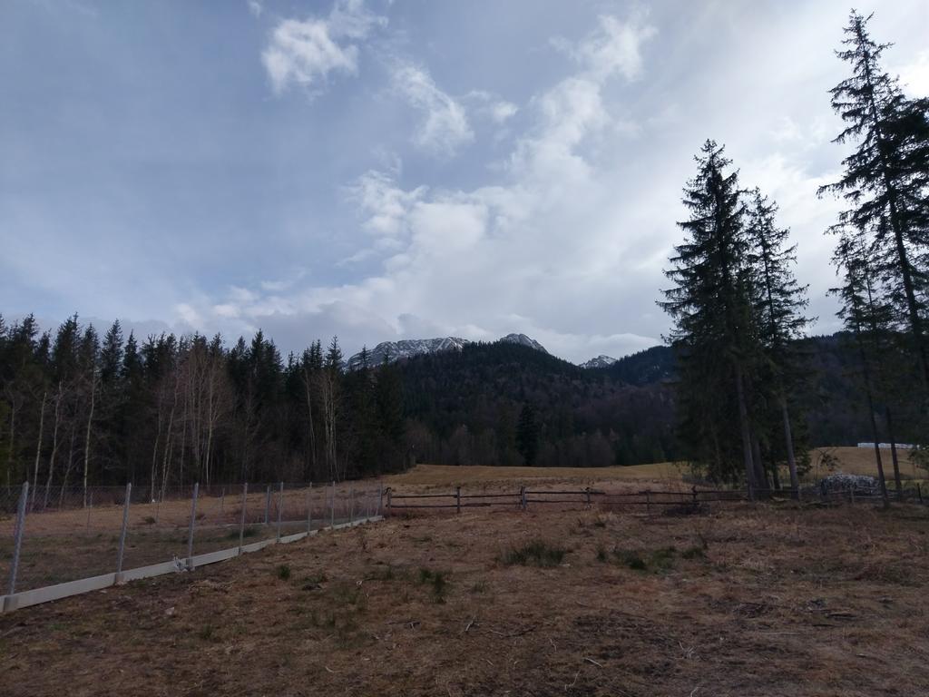 Apartamencik Z Widokiem Na Giewont Zakopane Eksteriør bilde